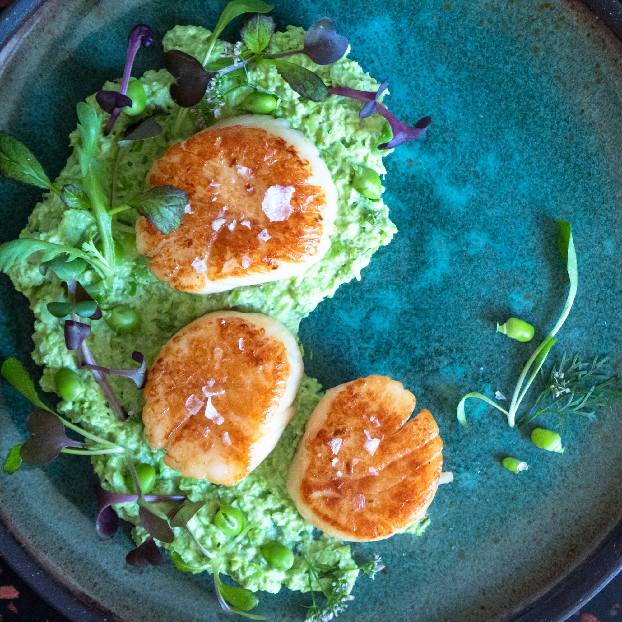 Seared Scallops Recipe with Spicy Pea and Edamame Purée Cinder